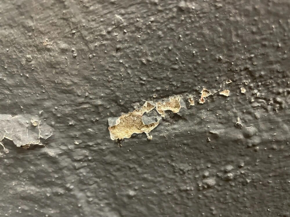 Asbestos in Paint Coatings: What Auckland Homes Are Still Hiding